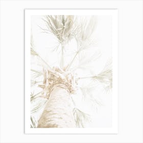 Light Palm Tree Art Print