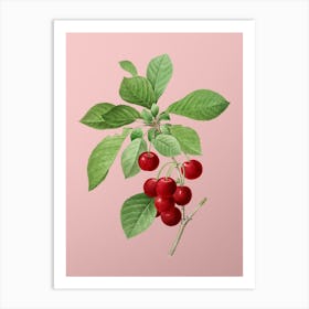 Vintage Cherry Botanical on Soft Pink n.0151 Art Print