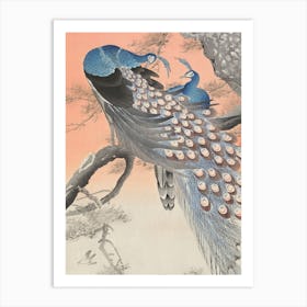 Two Peacocks On Tree Branch, Ohara Koson Art Print