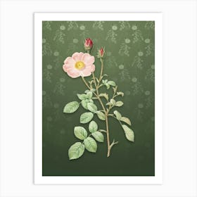Vintage Sparkling Rose Botanical on Lunar Green Pattern n.1783 Art Print