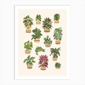Plant Collection 7 Art Print