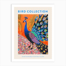 Peacock Feather Patterns Poster Art Print