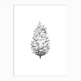 Pine cone No 87 by Aga Szafranska Art Print