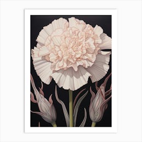 Flower Illustration Carnation Dianthus 3 Art Print