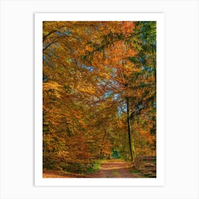 Autumn Colour In The Forest Woods Art Print