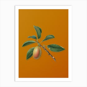 Vintage Armenian Plum Botanical on Sunset Orange n.0356 Art Print