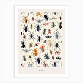 Colourful Insect Illustration Spider 14 Poster Art Print