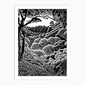 Adelaide Hills  Mount Lofty Botanic Garden, 3,  Australia Linocut Black And White Vintage Art Print