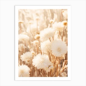 Boho Dried Flowers Chrysanthemum 1 Art Print