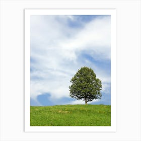 Lone Tree On A Hill 1 Art Print