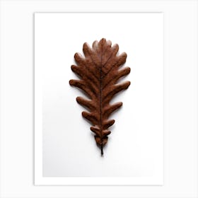Shapes Grafic Oak Leaf Art Print
