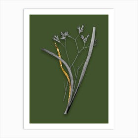 Vintage Anigozanthos Flavida Black and White Gold Leaf Floral Art on Olive Green n.0110 Art Print