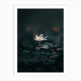 Lily Of The Valley 40 Art Print