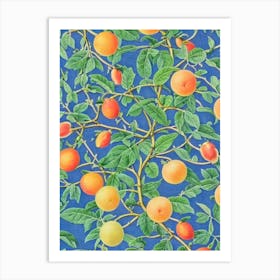 Grapefruit Vintage Botanical Fruit Art Print