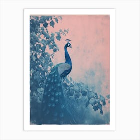 Blue & Pink Peacock Portrait 1 Art Print