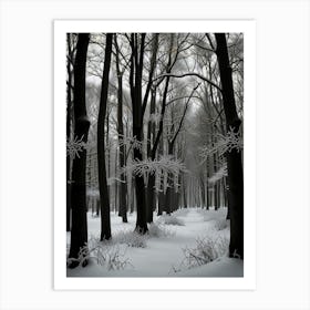 Winter Forest 8 Art Print