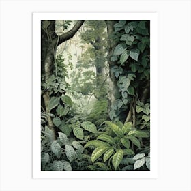 Vintage Jungle Botanical Illustration Pothos 1 Art Print