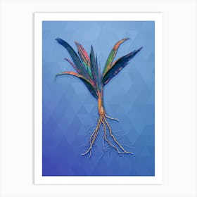 Vintage Date Palm Tree Botanical Art on Blue Perennial n.1236 Art Print