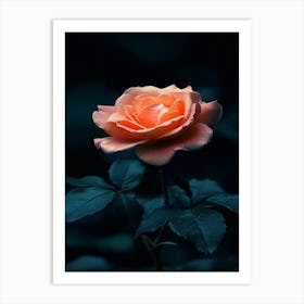 Rose In The Dark 25 Art Print