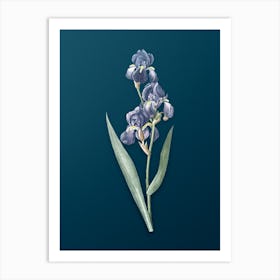 Vintage Dalmatian Iris Botanical Art on Teal Blue n.0765 Art Print