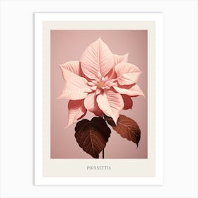 Floral Illustration Poinsettia 2 Poster Art Print