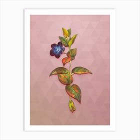 Vintage Greater Periwinkle Flower Botanical Art on Crystal Rose n.1937 Art Print