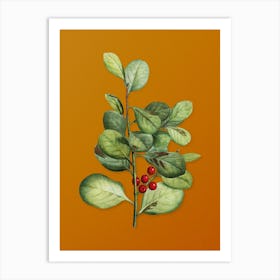 Vintage Lingonberry Evergreen Shrub Botanical on Sunset Orange n.0889 Art Print