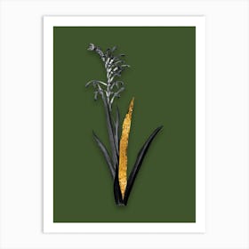 Vintage Antholyza Aethiopica Black and White Gold Leaf Floral Art on Olive Green n.1191 Art Print