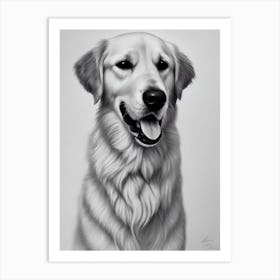 Golden Retriever 2 B&W Pencil Dog Art Print