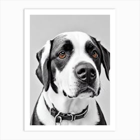 Entlebucher Mountain Dog B&W Pencil Dog Art Print