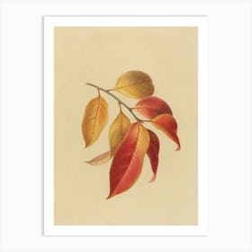 Autumn Leaves Art Print