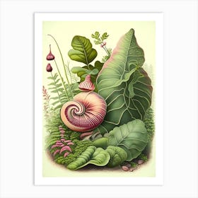 Garden Snail In Park Botanical Art Print