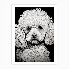 Poodle Dog, Line Drawing 2 Art Print