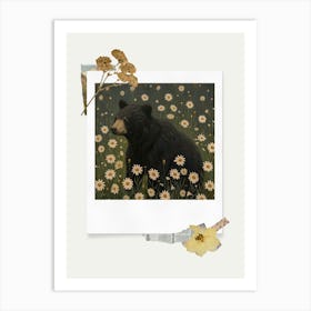 Scrapbook Black Bear Fairycore Painting 2 Art Print