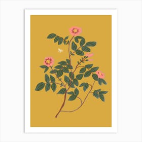 Wild Rose Art Print