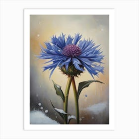 Vintage National Flower the Cornflower Art Print