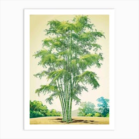 Bamboo Tree Storybook Illustration 1 Art Print