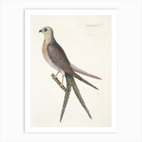 Bird Perched On A Branch Art Print