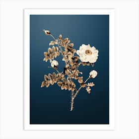 Gold Botanical White Burnet Roses on Dusk Blue n.2670 Art Print