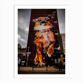 Dog On A Building Art Print