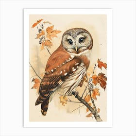 Northern Saw Whet Owl Vintage Illustration 4 Art Print