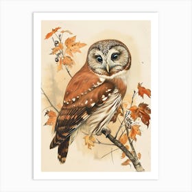 Northern Saw Whet Owl Vintage Illustration 4 Poster