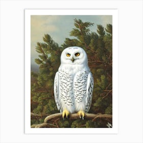 Snowy Owl Haeckel Style Vintage Illustration Bird Art Print