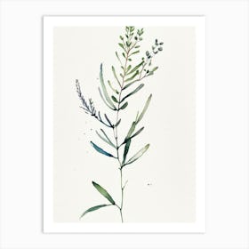 Alfalfa Herb Minimalist Watercolour Art Print