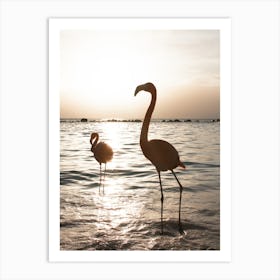 Flamingos At Sunset Art Print