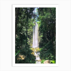 Forest Waterfall Art Print