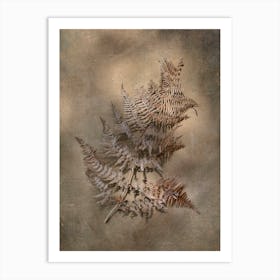 Earthy Ferns 3 Art Print