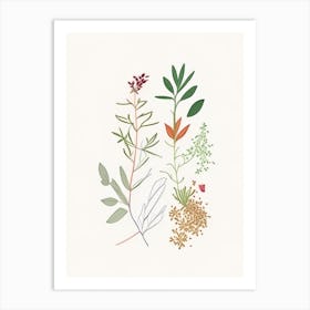 Chickweed Spices And Herbs Minimal Line Drawing 1 Art Print