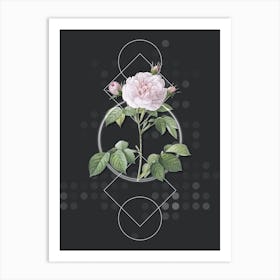 Vintage Rosa Alba Botanical with Geometric Line Motif and Dot Pattern n.0230 Art Print