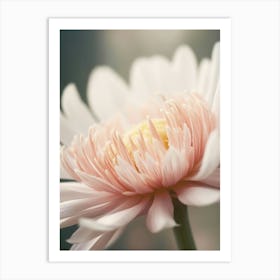 Pastel Nature Macro No 18 Art Print